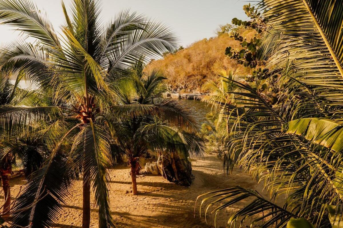 Dream Villa With Private Beach And Catering زيهواتانيجو المظهر الخارجي الصورة