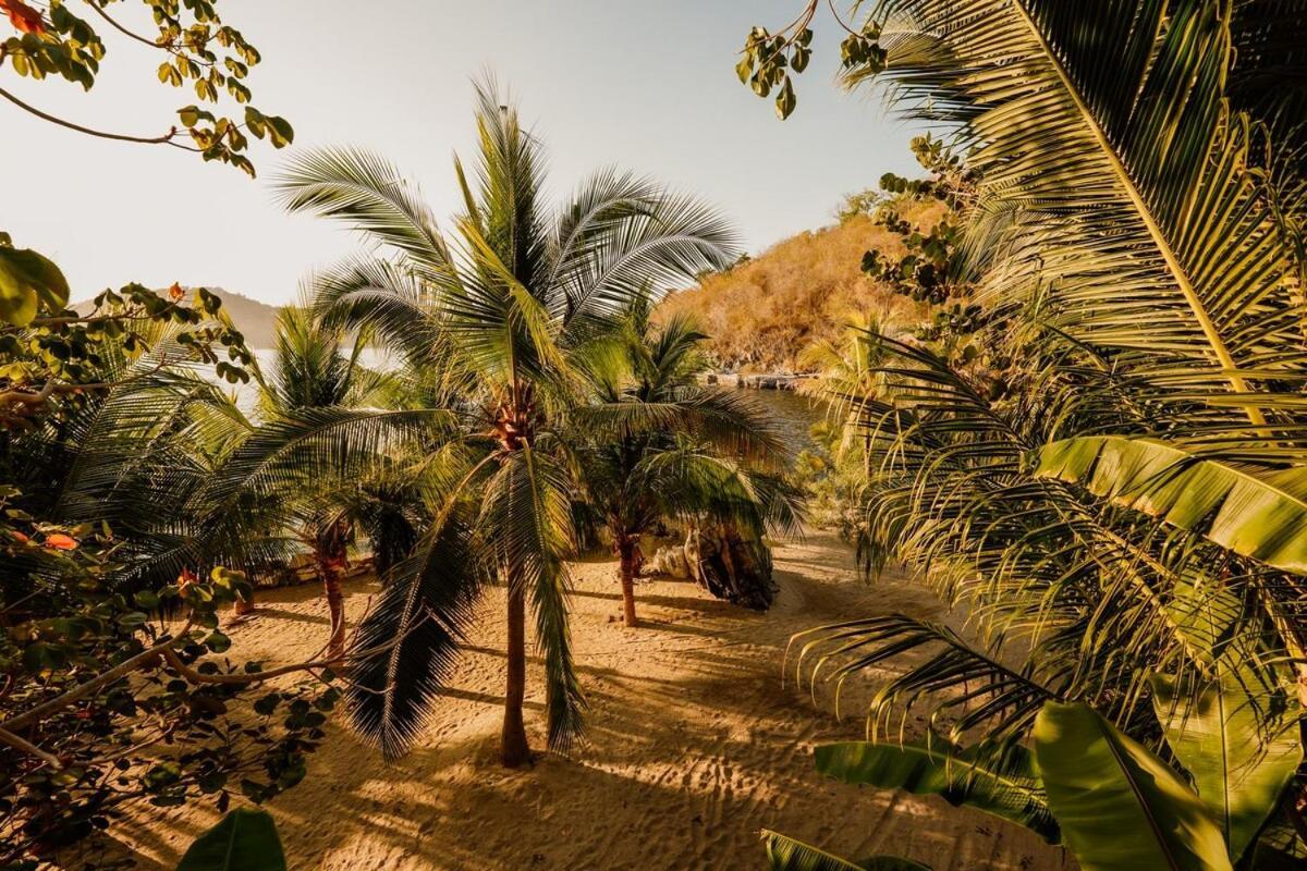 Dream Villa With Private Beach And Catering زيهواتانيجو المظهر الخارجي الصورة